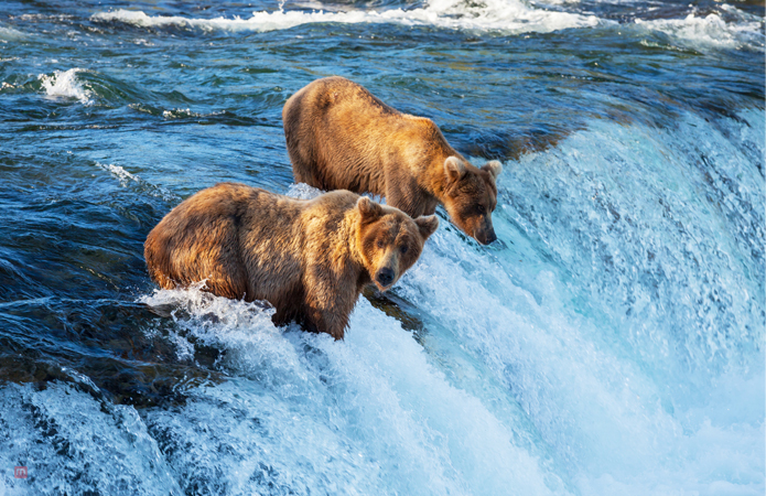 Experience The Unconventional A Summer Trip To Alaska
