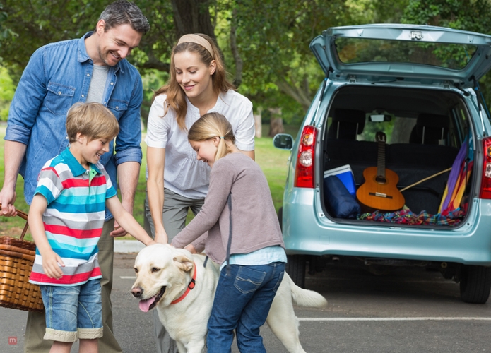 Traveling With Pets Tips For Taking Your Faithful Friend With You